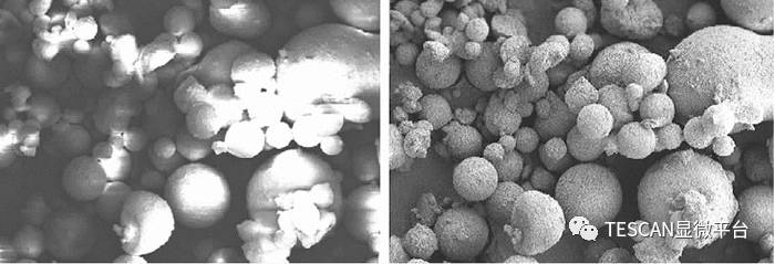 扫描电子显微镜（SEM）荷电效应：形成机制、影响及消除方法指南