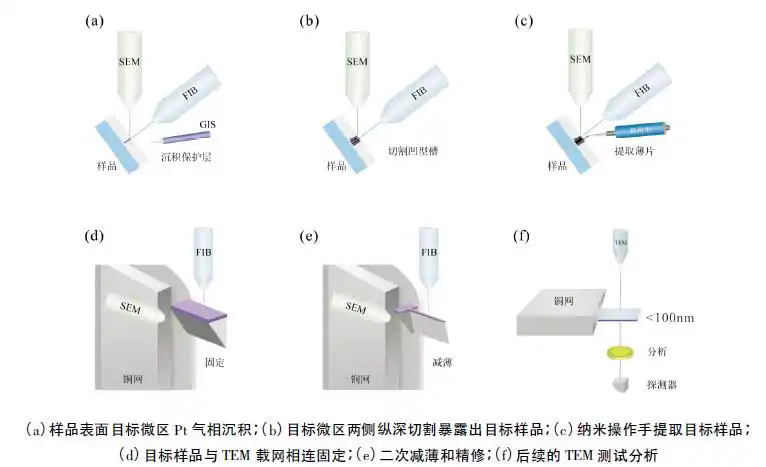 FIB-SEM: 二维成像、三维断层扫描与TEM薄片制备