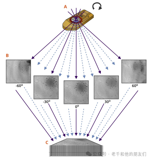 冷冻电镜断层成像（Cryo-ET）技术解读：技术原理、优劣分析、样品制备、数据采集及图像解读