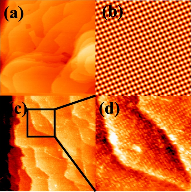 什么是界面双电层？电催化表征体系的系统梳理与关键参数解析