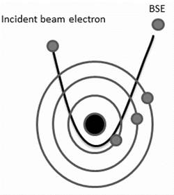 扫描电子显微镜（SEM）基础原理：工作方式、电子-样品相互作用信号解析