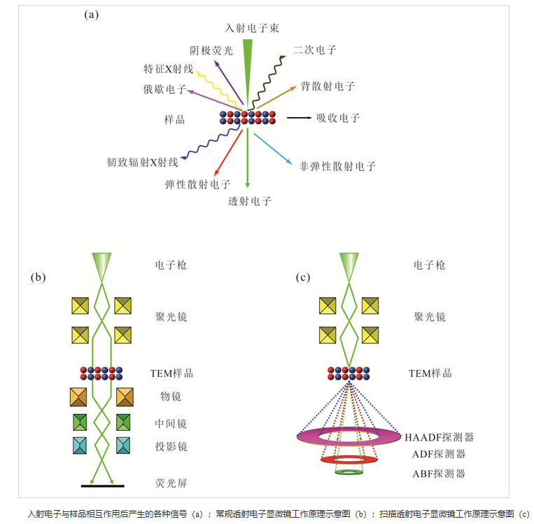 SEM与TEM区别解析