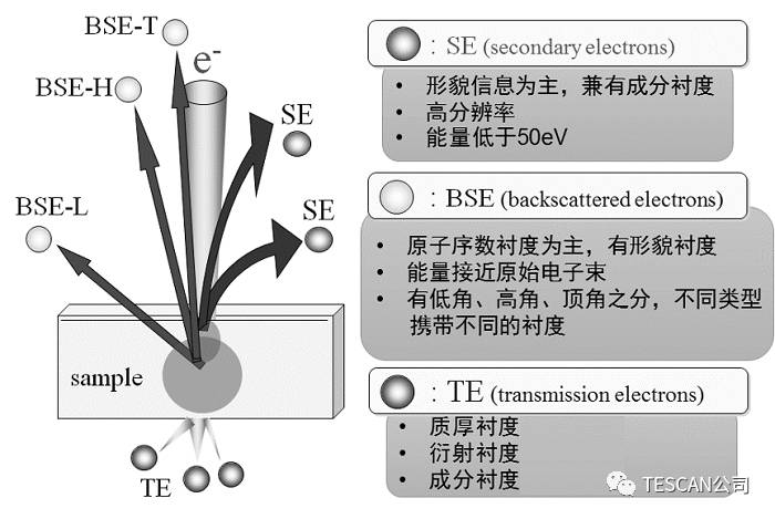 扫描电子显微镜（SEM）荷电效应：形成机制、影响及消除方法指南