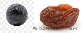 扫描电镜（SEM）操作指南：如何获得高质量的SEM图片