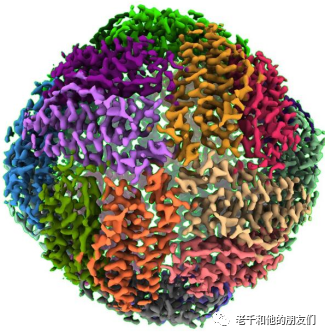 冷冻电镜单颗粒分析（SPA）技术指南：从样品制备到三维重构，解锁生物大分子高分辨率结构