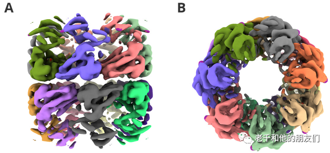 冷冻电镜（Cryo-EM）：原理、技术挑战与应用场景
