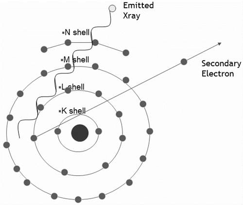 扫描电子显微镜（SEM）基础原理：工作方式、电子-样品相互作用信号解析