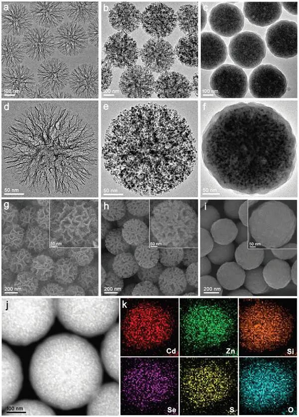 透射电子显微镜（TEM）测试全解读：原理、样品制备与注意事项（含生物TEM）