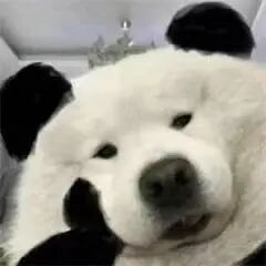 教你如何利用DM软件实现标尺校准