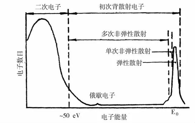 扫描电子显微镜（SEM）基础原理：工作方式、电子-样品相互作用信号解析