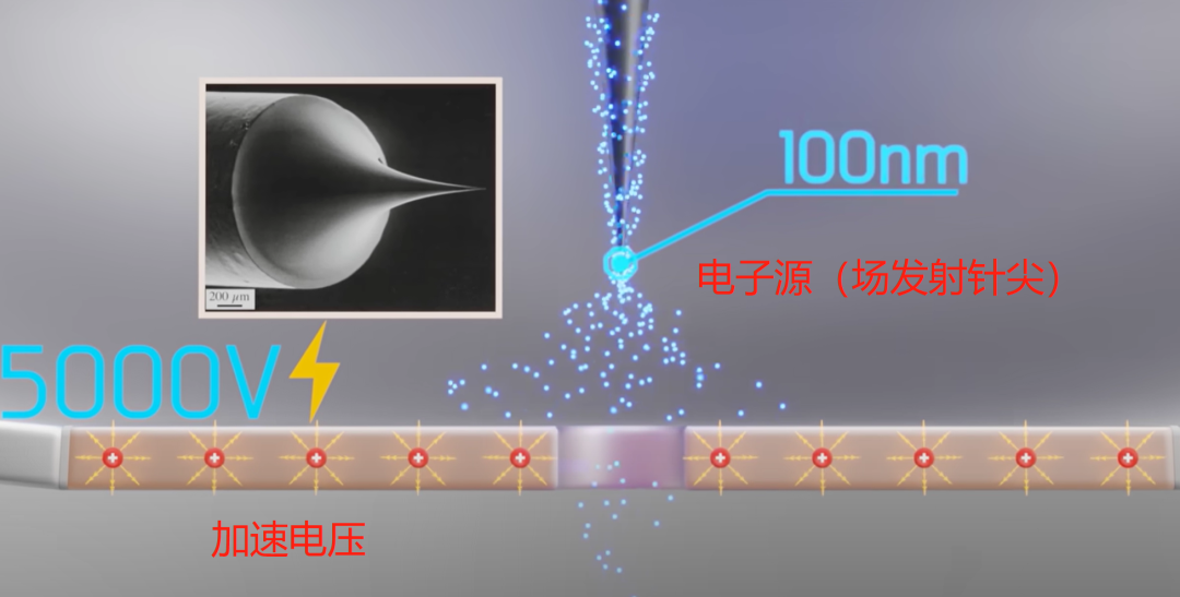 一文读懂透射电镜TEM内部结构：从电子源到探测器，图解核心装置与工作原理