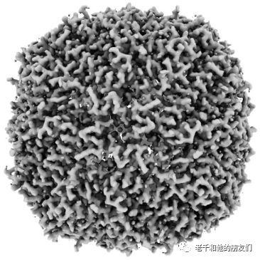 冷冻电镜单颗粒分析（SPA）技术指南：从样品制备到三维重构，解锁生物大分子高分辨率结构