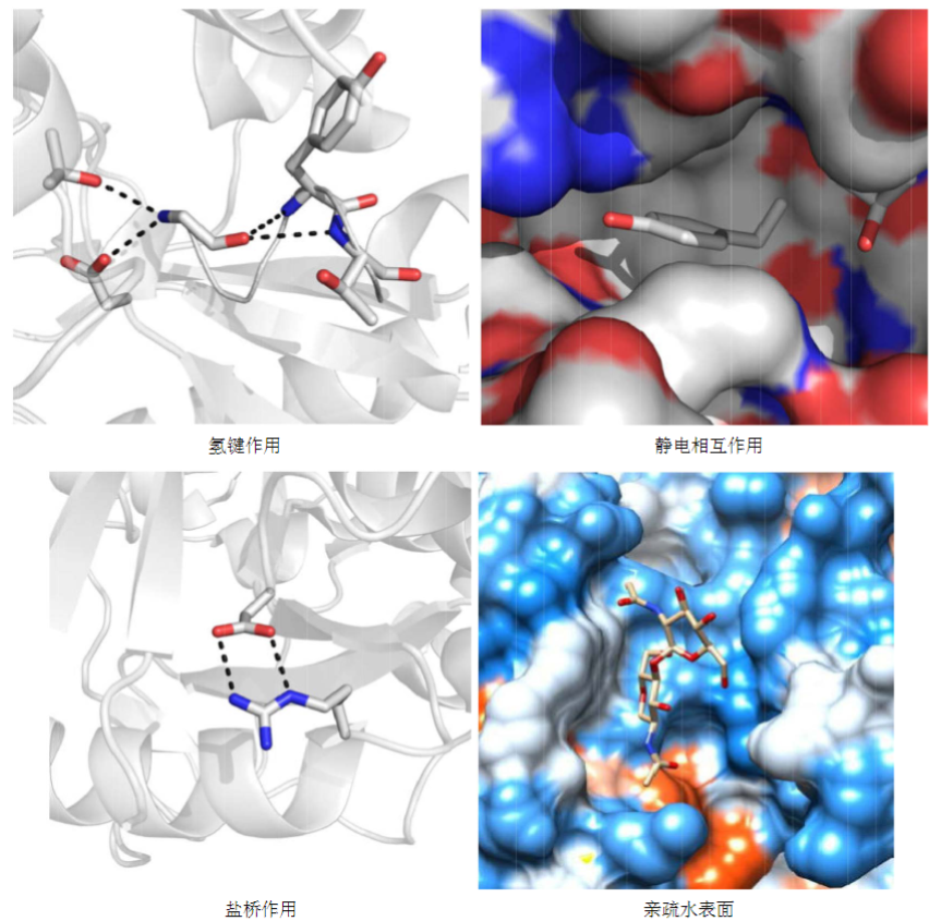 什么是分子对接？定义、应用场景与药物研发实用指南