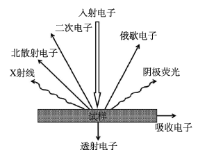 扫描电镜（SEM）和透射电镜（TEM）的相似点和不同点！