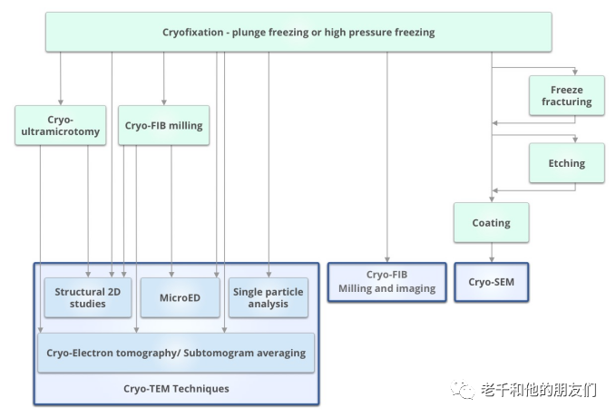 冷冻电镜（Cryo-EM）：原理、技术挑战与应用场景