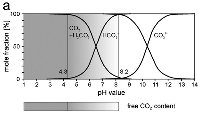 优化电催化效率：局部微环境的界面调控策略与HER/ORR/CRR应用