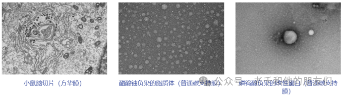 材料科学TEM 样品制备难？一文掌握5大核心方法（离子减薄/电解抛光/FIB）与实操要点