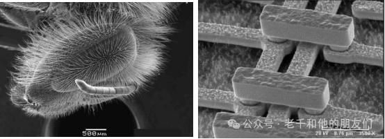 扫描电镜（SEM）技术全解析：成像原理、核心结构、信号采集与应用指南