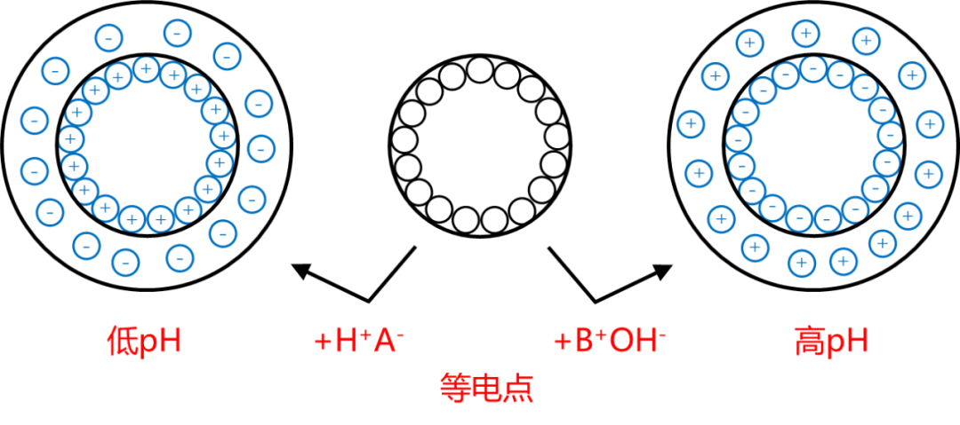 催化剂如何负载？三大核心溶液法（浸渍 / 离子交换 / 沉积沉淀）原理、操作与载体适配指南催化剂如何负载？