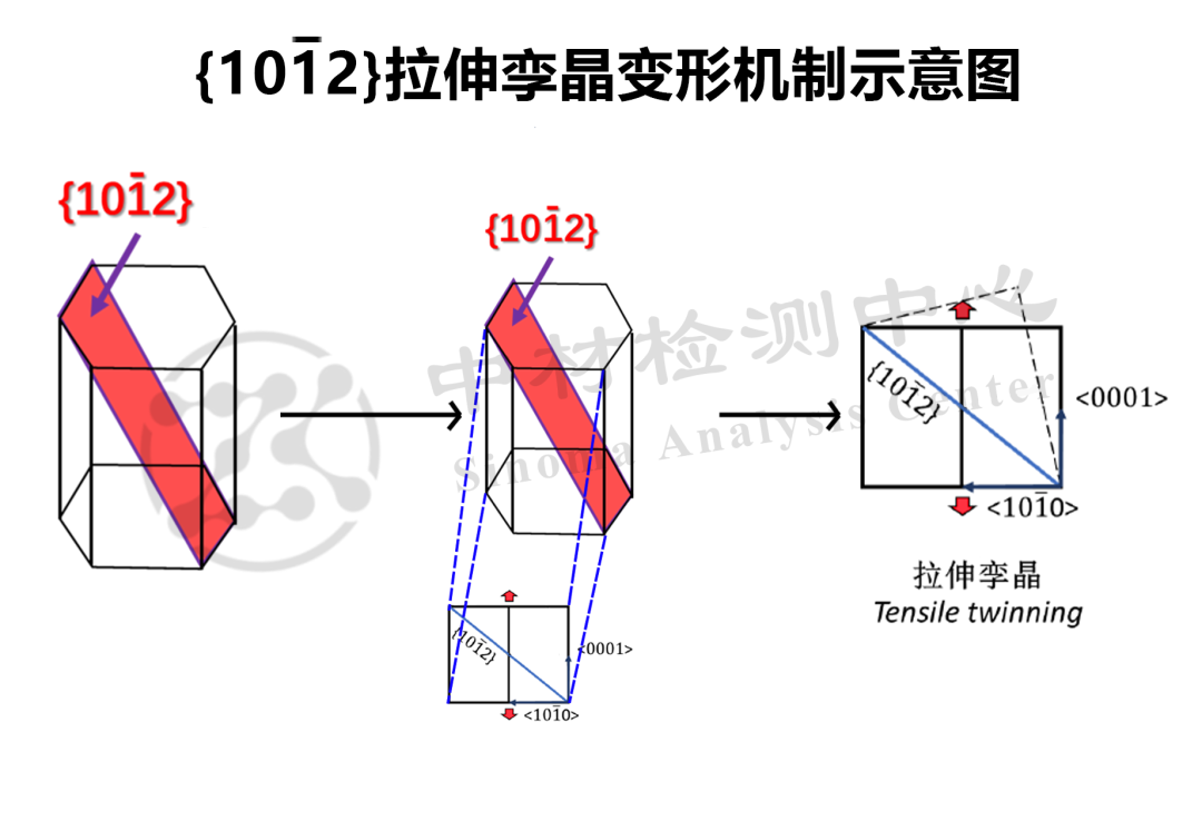 如何利用TEM分析拉伸孪晶和压缩孪晶