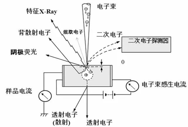 扫描电子显微镜（SEM）基础原理：工作方式、电子-样品相互作用信号解析