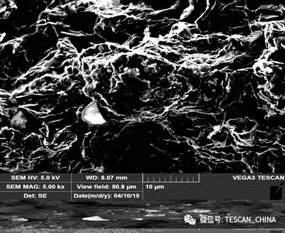 扫描电子显微镜（SEM）像衬度形成原理：从信号机制到实际应用
