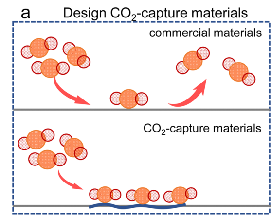 优化电催化效率：局部微环境的界面调控策略与HER/ORR/CRR应用