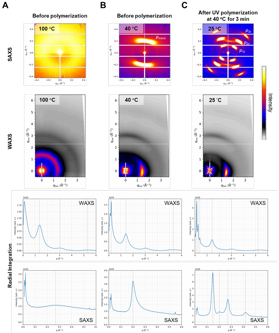 SAXS顶刊案例分析—Science,386, 1161–1168 (2024):液晶弹性体