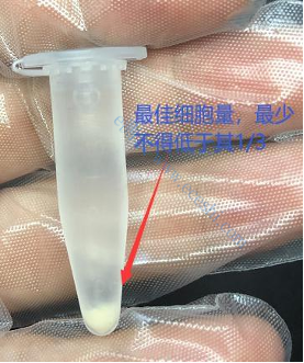 一文读懂生物透射电镜！