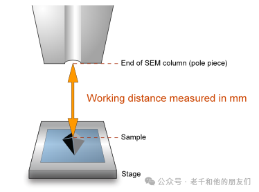 扫描电镜（SEM）操作指南：如何获得高质量的SEM图片