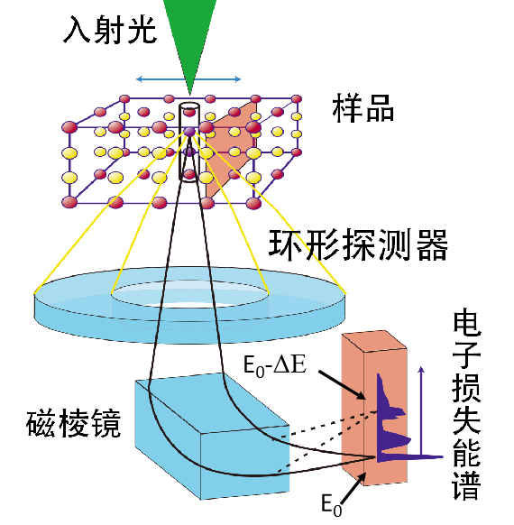扫描透射电子显微镜（STEM）之基本原理与应用