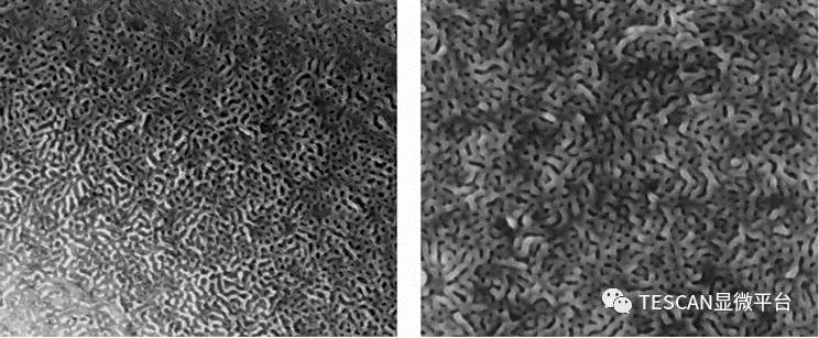 扫描电子显微镜（SEM）荷电效应：形成机制、影响及消除方法指南