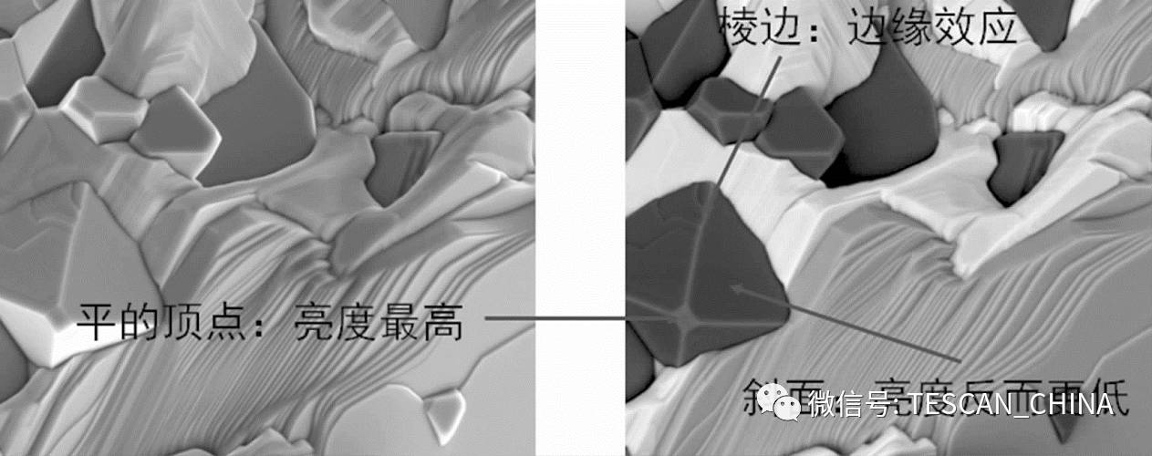 扫描电子显微镜（SEM）像衬度形成原理：从信号机制到实际应用