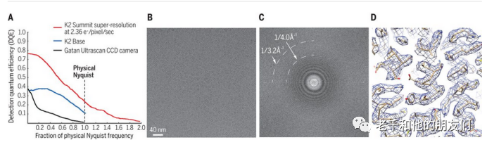 单颗粒冷冻电镜技术：解析技术突破、应用价值与未来方向，赋能生物大分子结构研究