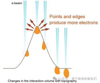 扫描电镜（SEM）操作指南：如何获得高质量的SEM图片