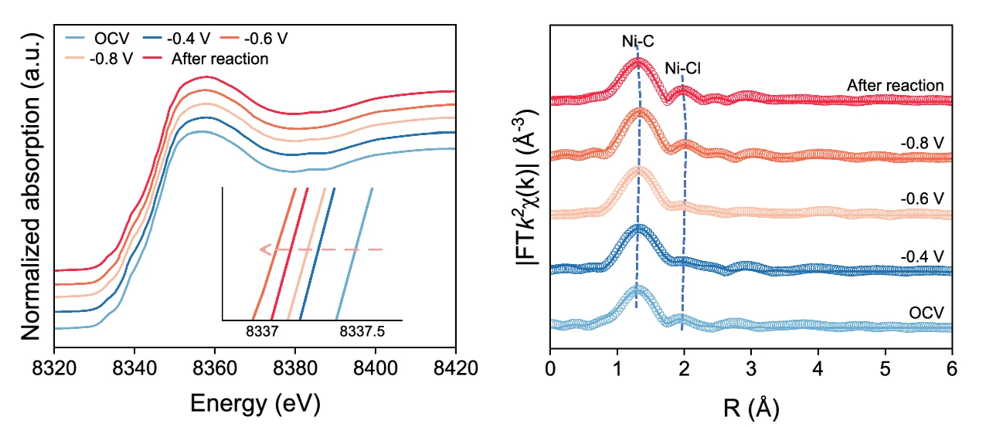 原位同步辐射XAS：推动单原子催化剂精准设计的关键技术