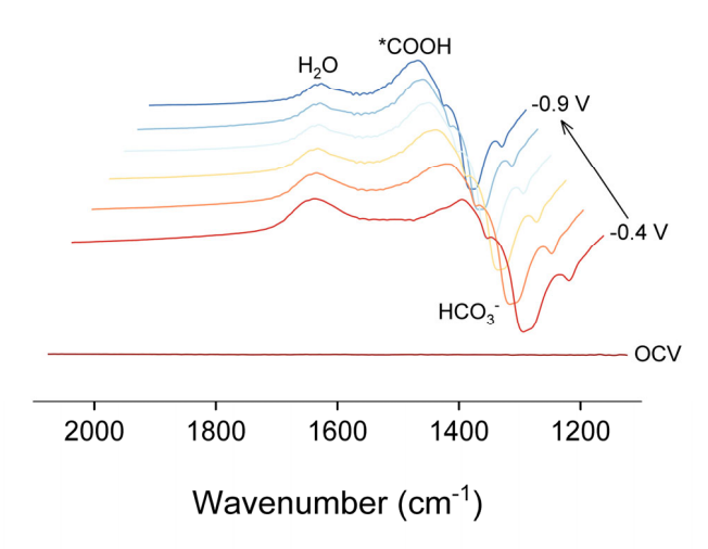 原位同步辐射XAS：推动单原子催化剂精准设计的关键技术