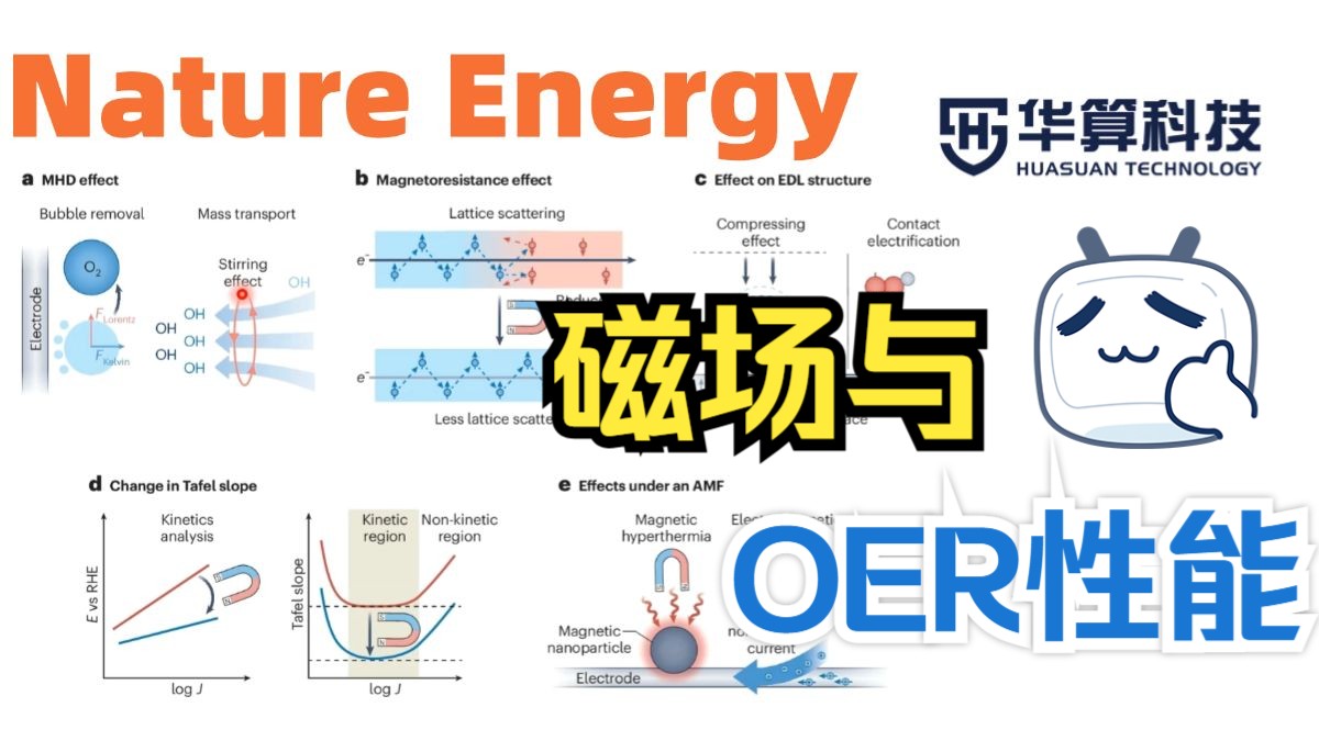 说清了！磁场对OER反应有哪些影响？| 华算科技 MS杨站长 | 华算科技