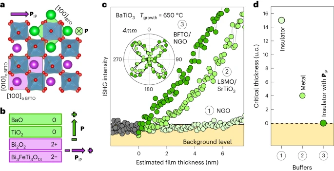 极性解析：从电荷不对称性到催化性能调控的量化方法与实践指南