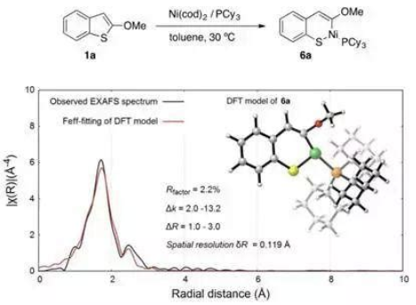 合金与界面结构的原位演化