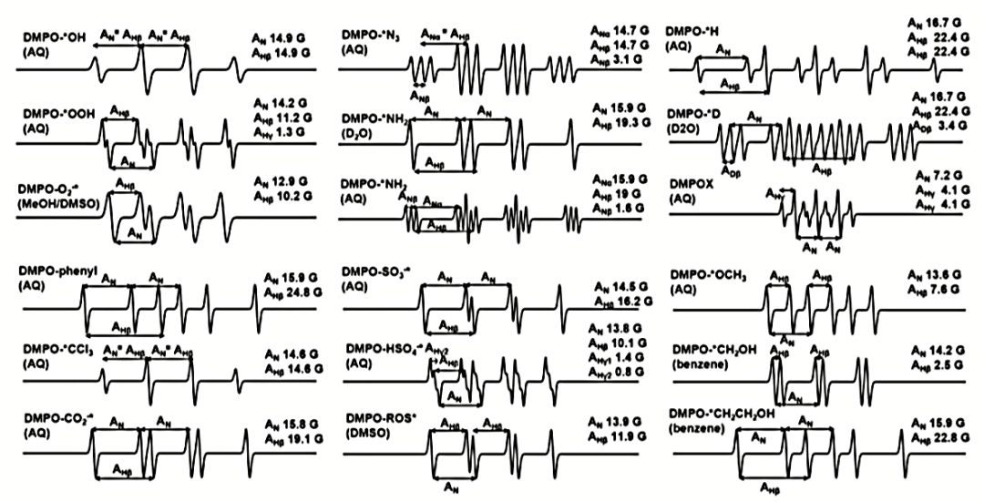 EPR测试自由基的常见问题