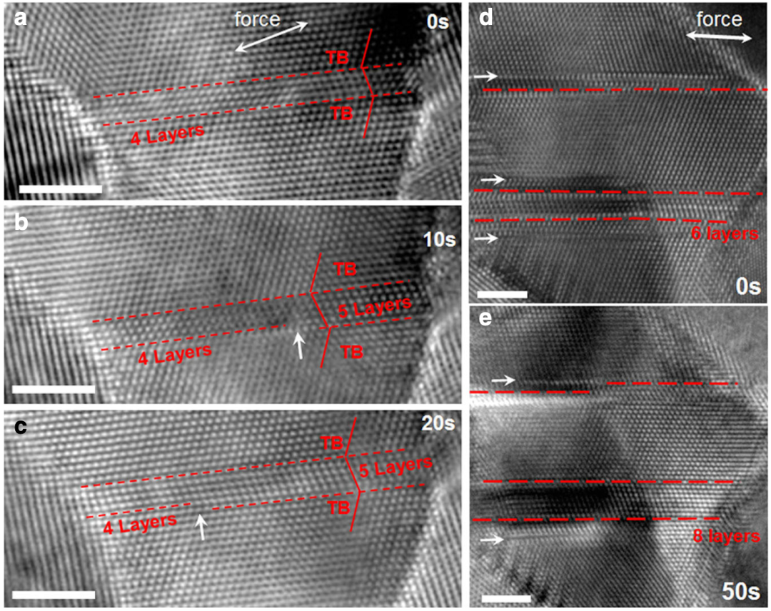 TEM案例分享：首次捕捉纳米孪晶铂全/位错动态转换
