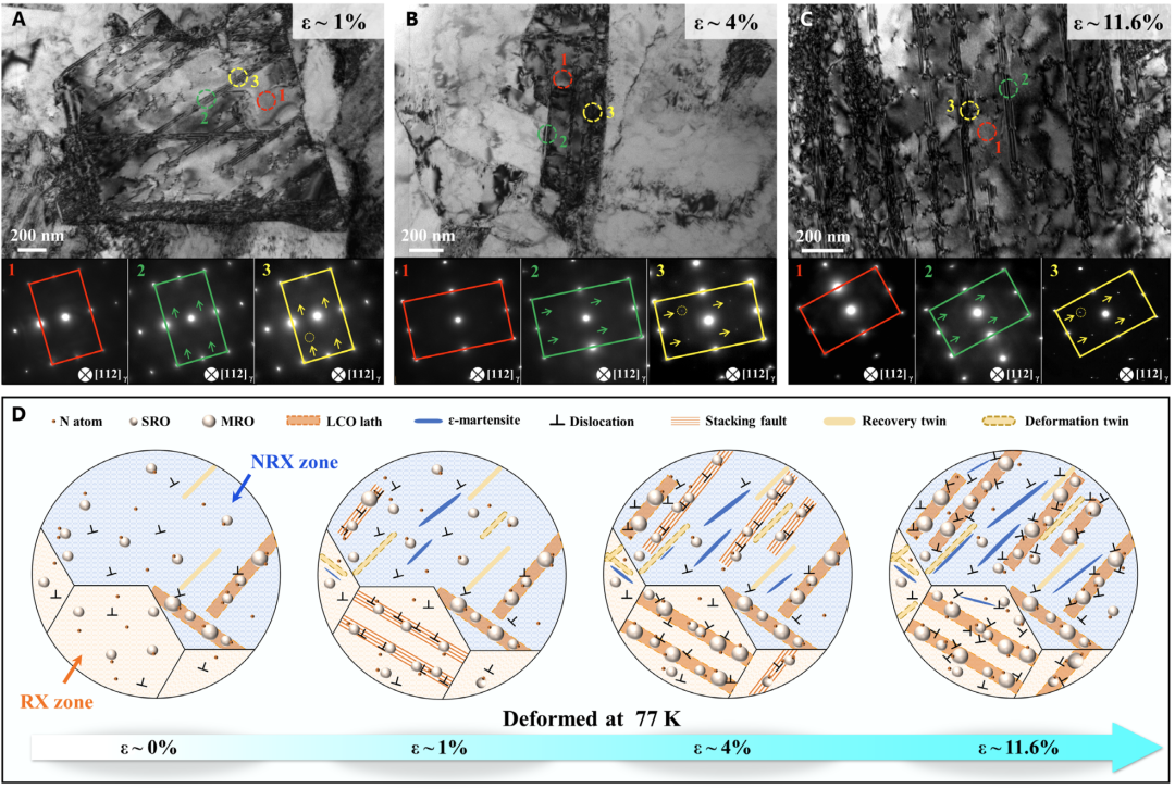 TEM文献案例分享：化学有序动态演化破解FCC合金强度-塑性悖论