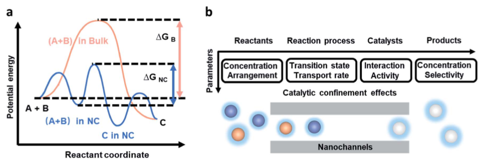 什么是限域效应？电子 / 动力学 / 反应行为影响、计算方法（DFT/MD 等）解析与设计指南