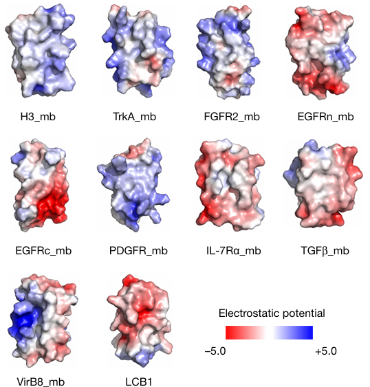 静电势：从物理意义到计算流程与应用