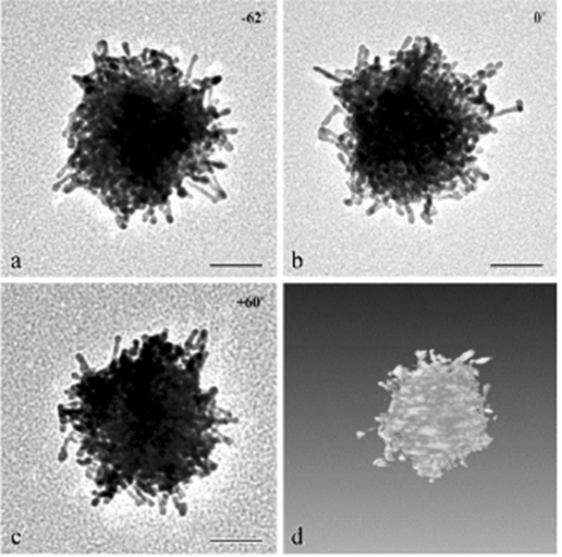 TEM 三维重构：技术流程 + 材料表征实例，解锁纳米尺度新视角