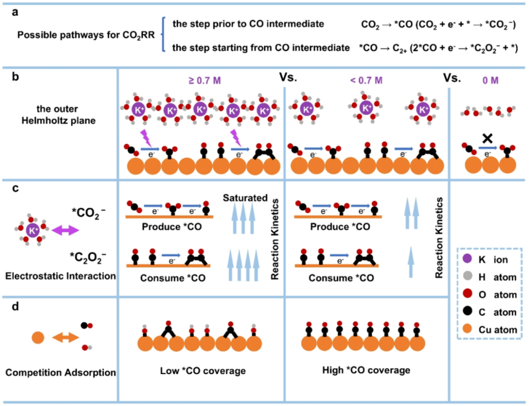阳离子效应：在HER、OER、CO₂RR等反应中的作用与展望