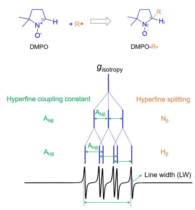 光催化中常见的电子、空穴和自由基清除剂及自由基EPR测试方法