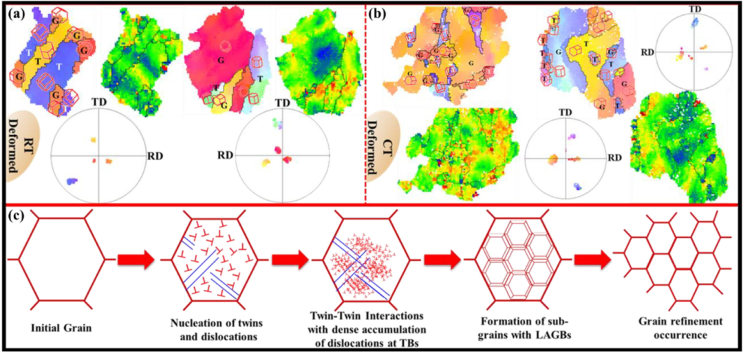 TEM文献案例分享：纳米层错+锥面滑移协同，AZX311低温性能飙升