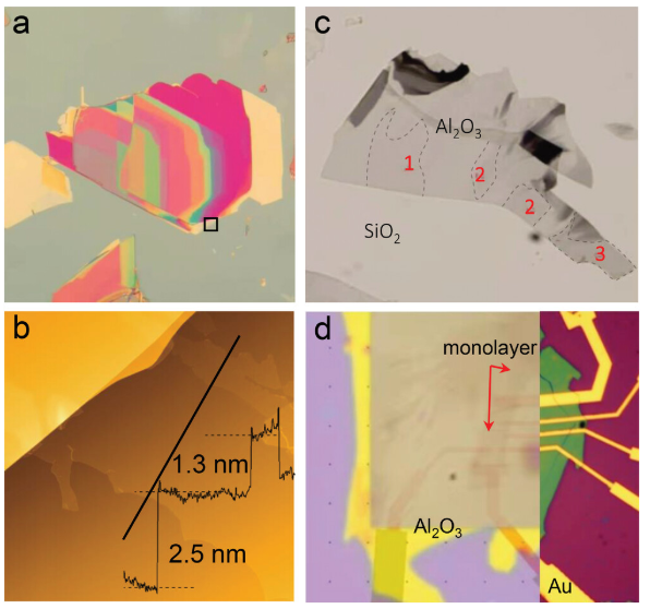 什么是范德华材料？